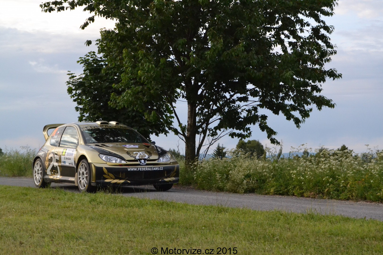 Rally Bohemia 2015