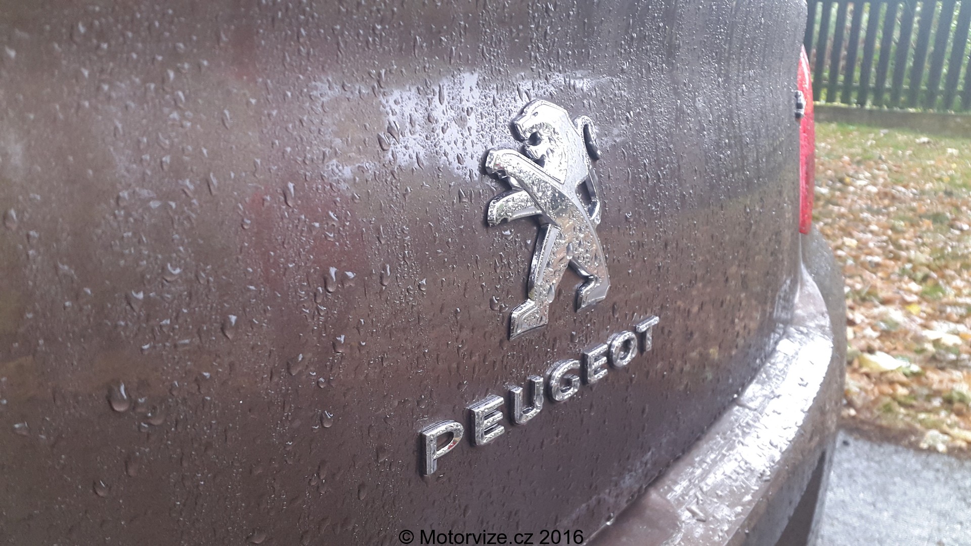 Peugeot 301