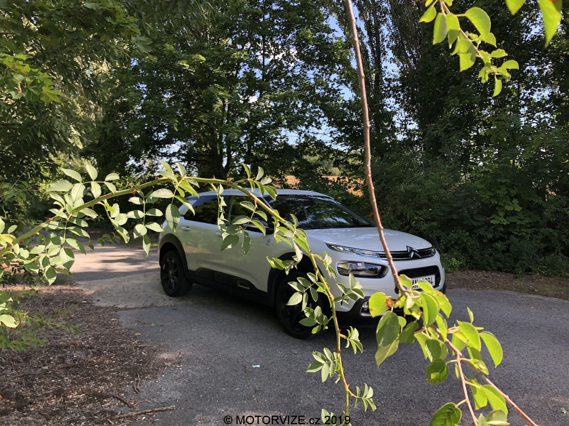 TEST: Citroen C4 Cactus 1.2 PureTech Origins (2019)