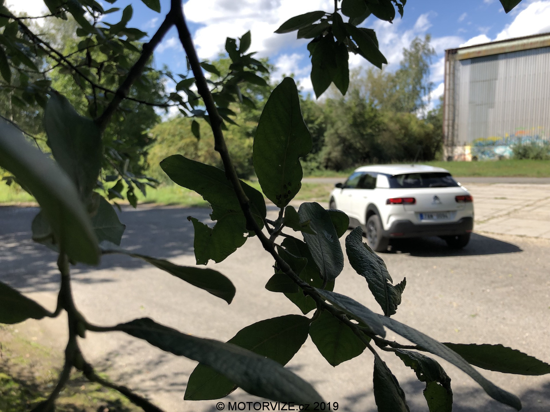 TEST: Citroen C4 Cactus 1.2 PureTech Origins (2019)