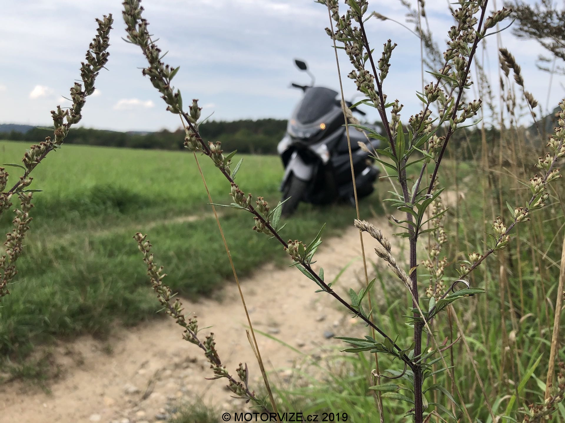 TEST: Yamaha NMAX 125 (2019)