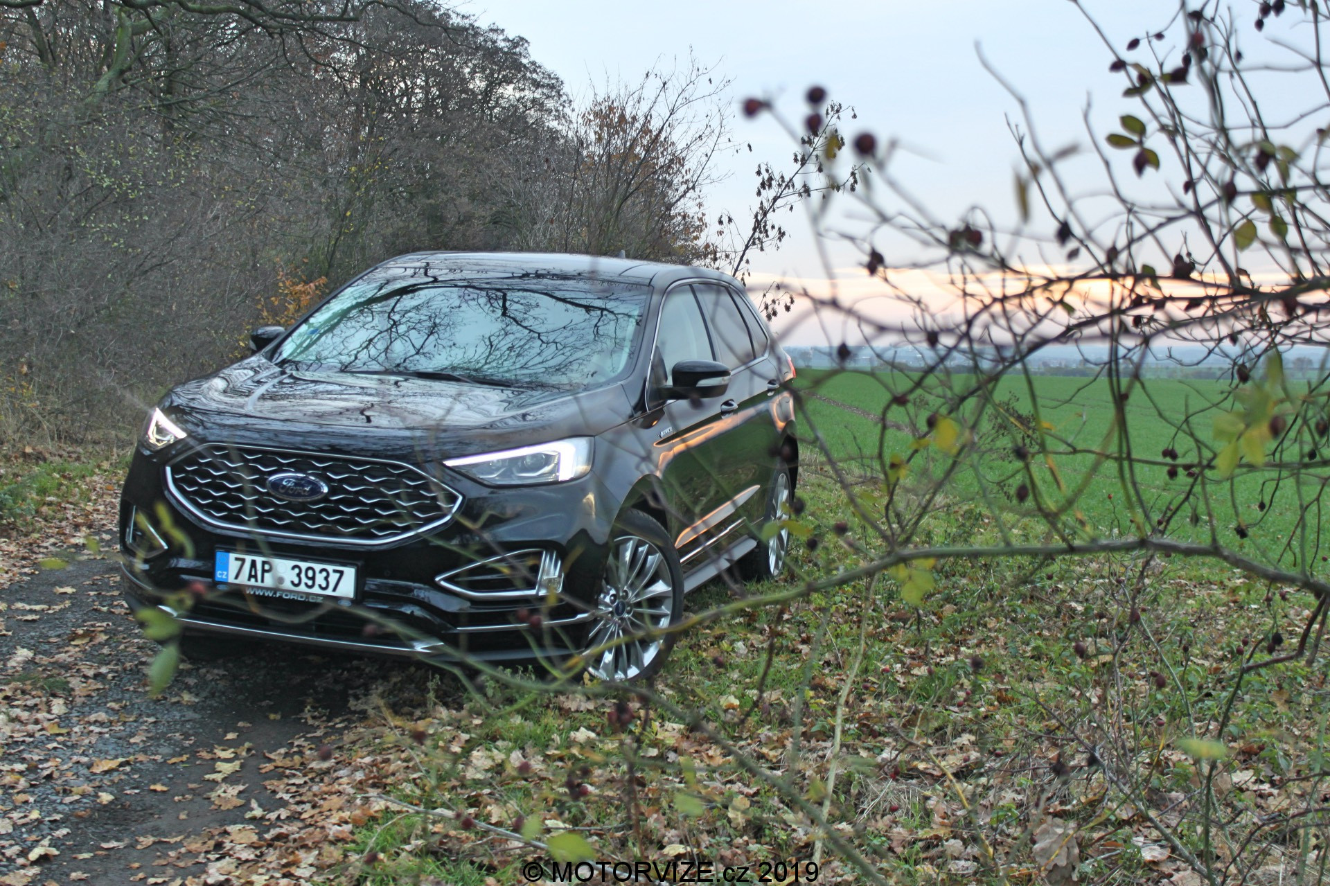 TEST: Ford Edge Vignale (2019)